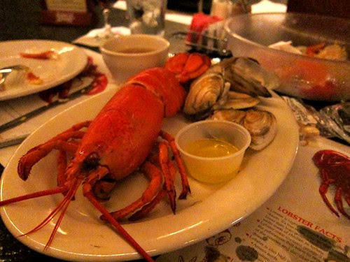 Maine Lobster