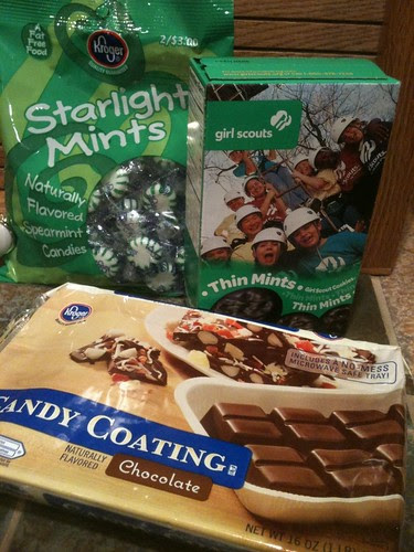 Thin Mint Chocolate Delight