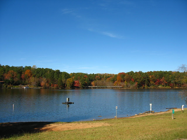 myworld fishfeednov13mr