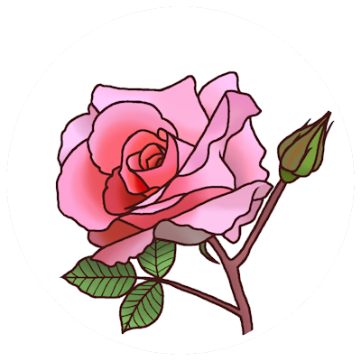 バラ3 A 花 ツイッターアイコン Sns 無料イラスト
