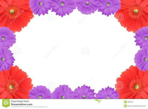 high resolution gerbera frame stock image image  empty