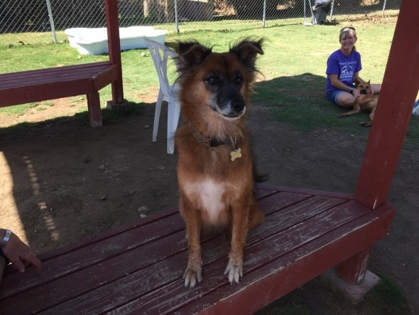 cinderella-sitting-pretty