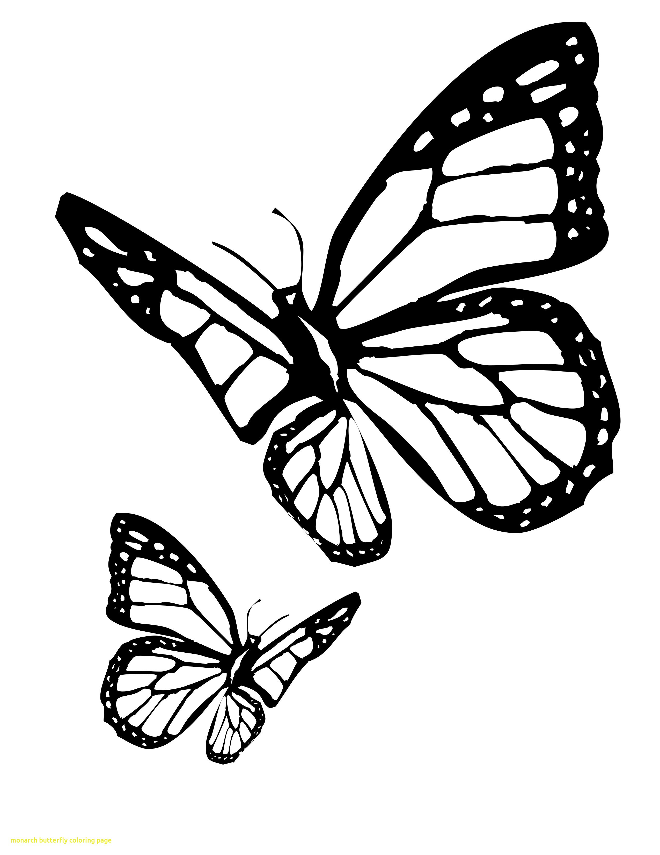 Free Free 173 Butterfly Svg Vector Free SVG PNG EPS DXF File