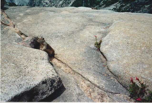 Yosemite