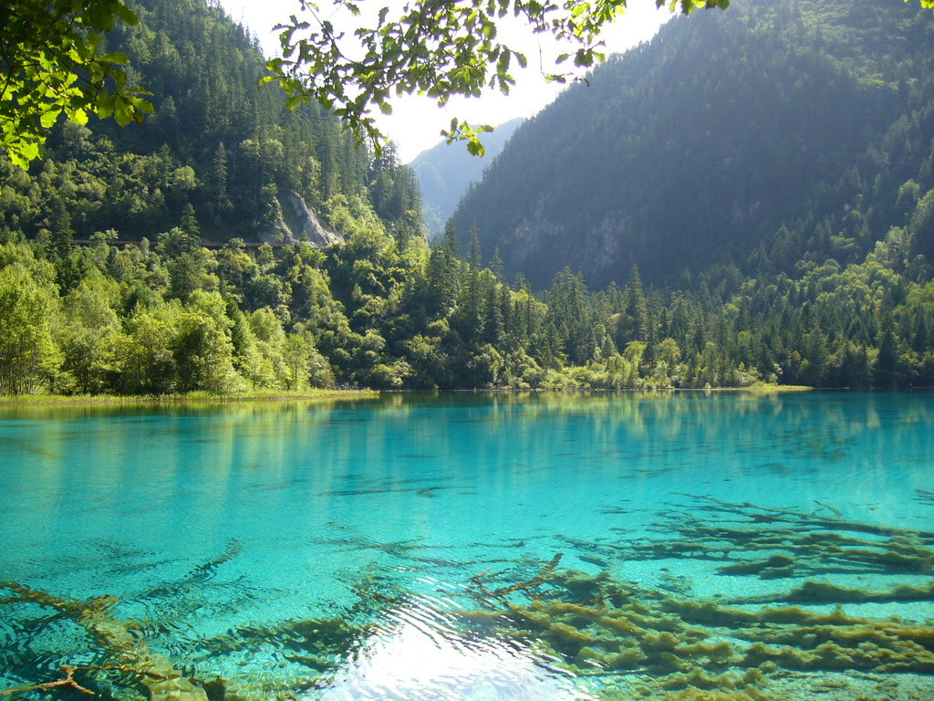 Download this Nature picture