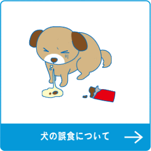 ワンちゃん ねこちゃんの家庭の医学 当院の理念 御代田町あさま動物病院 軽井沢町 小諸市 佐久市 立科町 上田市 東御市 南佐久 長野原町