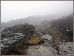 DSC07856
