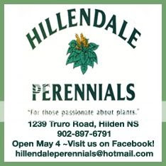  photo hillendale14bordered.jpg