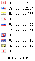 visitors by country counter