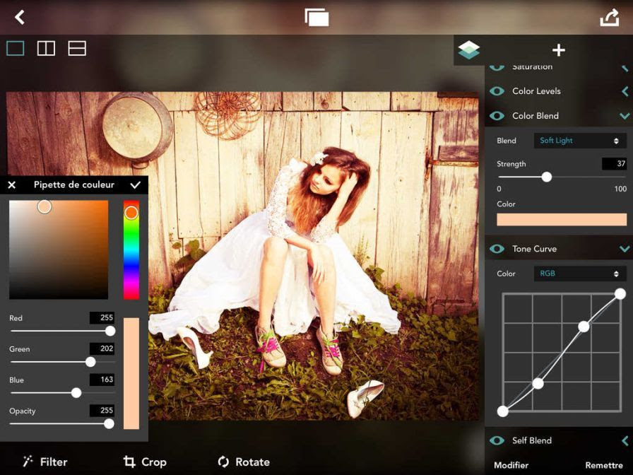 fdesign-design-your-own-photo- ipa