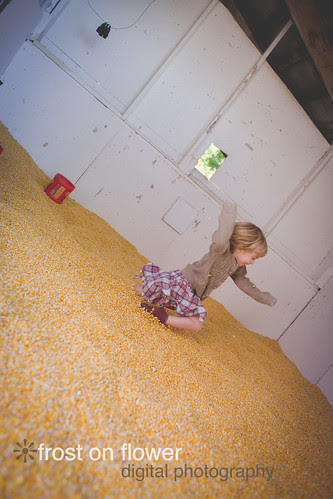 100113-FallHarvestOrchardLR-114