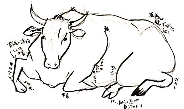 牛の描き方
