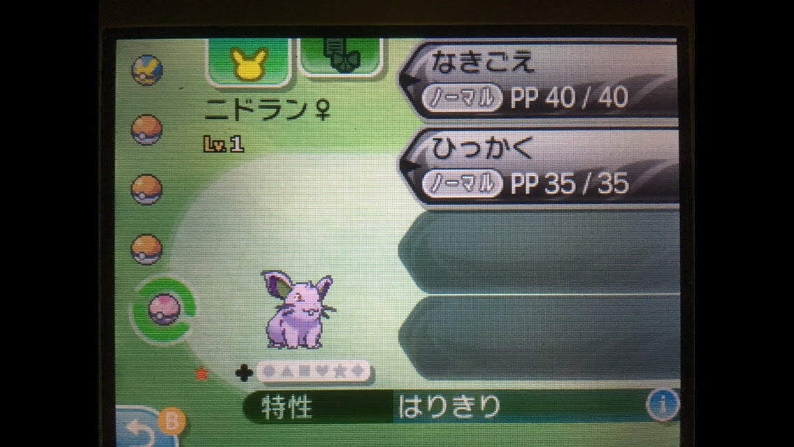 うさぎの隠れ家 色固定孵化をやってみたよー