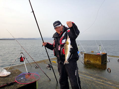 Jcaの激闘 投げ釣り戦記 イルカの大群がっ 北海道 せたな町 瀬棚北沖防波堤 2日目