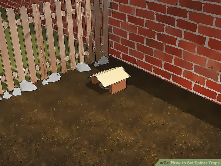 Set Spider Traps Step 11 Version 3.jpg