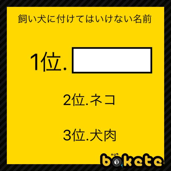 ウルフレジェンド 19年09月25日のその他のボケ ボケて Bokete