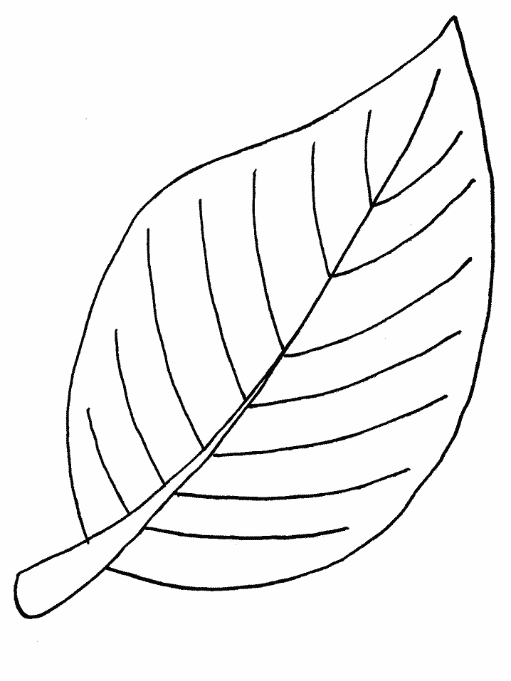 Free Palm Branch Coloring Page Download Free Clip Art Free Clip Art On Clipart Library