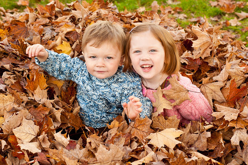 Leaves9