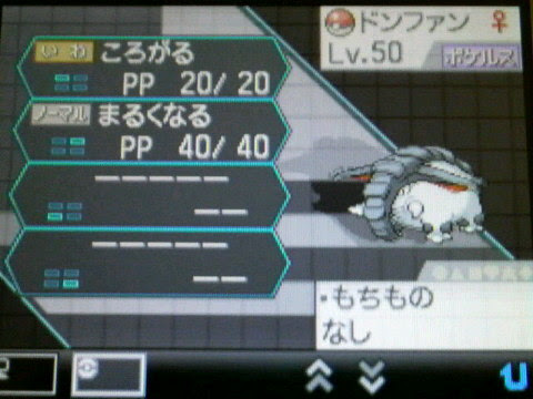 なわぱんだのポケモンブログ ドンファン 育成