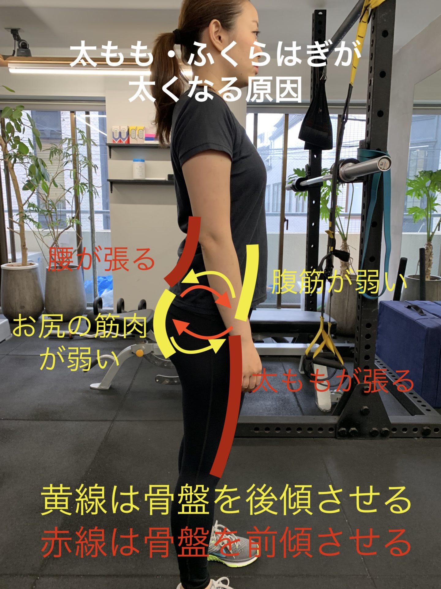女子の筋肉バランスが悪いブサイクな体から抜け出す 服をキレイにきるカラダをつくるブログ