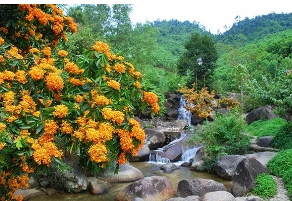 Đà Nẵng, điểm du lịch, 5 điểm du lịch Đà Nẵng, du lịch sinh thái, suối khoáng