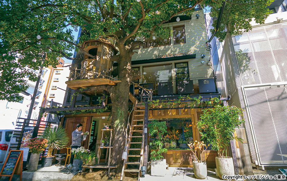 カジュアルなものからギフトまで対応 広尾のおしゃれなお花屋さんをご紹介 Pathee パシー