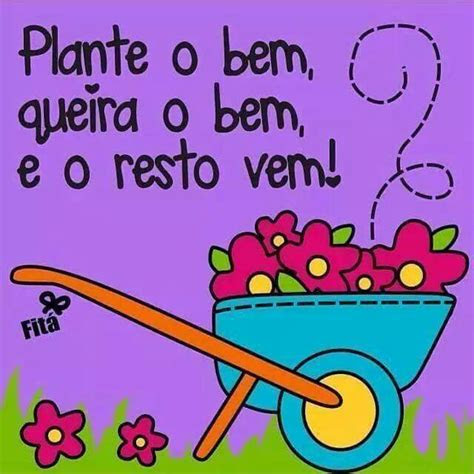 frases  alegrar   home facebook