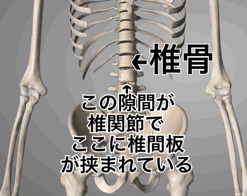 体が硬いとはどういうこと 体が硬いデメリットは何 を徹底解説