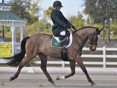 James Dwyer and Orlando