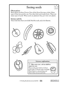  free printable 1st grade science worksheets word lists and activities