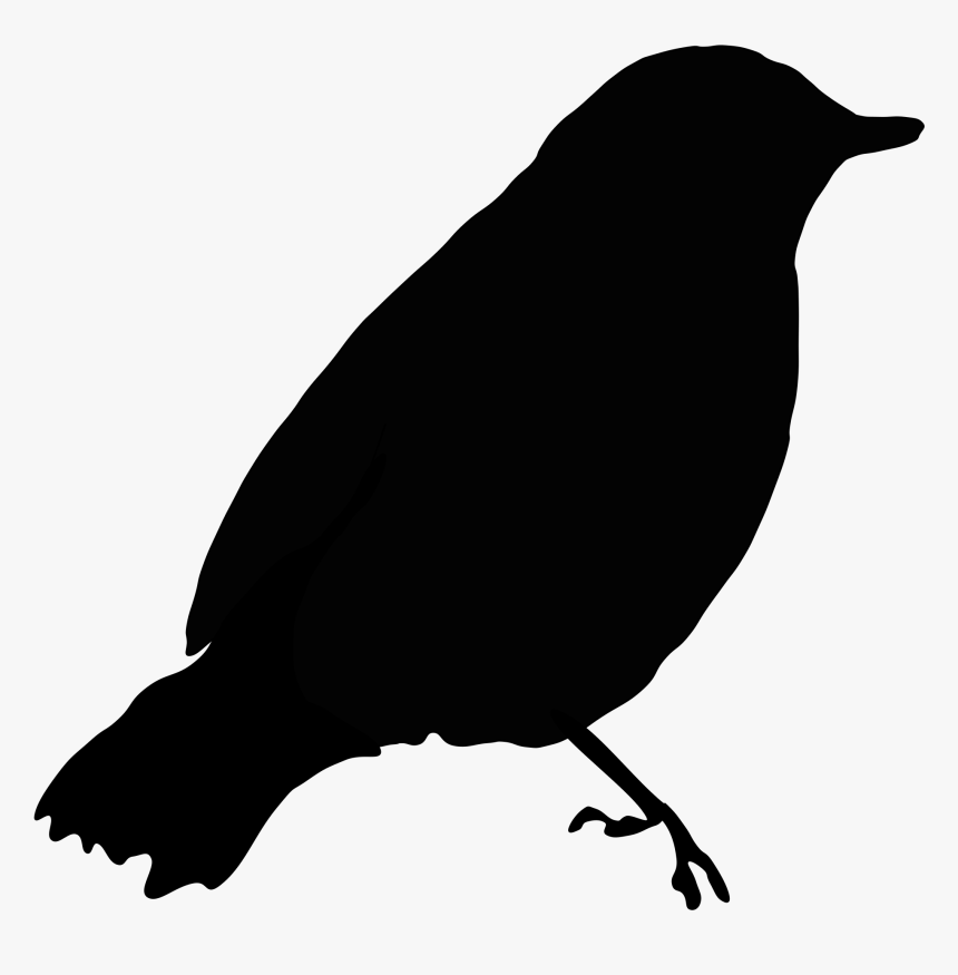 Download Bird Silhouette Svg Free - 326+ SVG Images File for Cricut, Silhouette and Other Machine