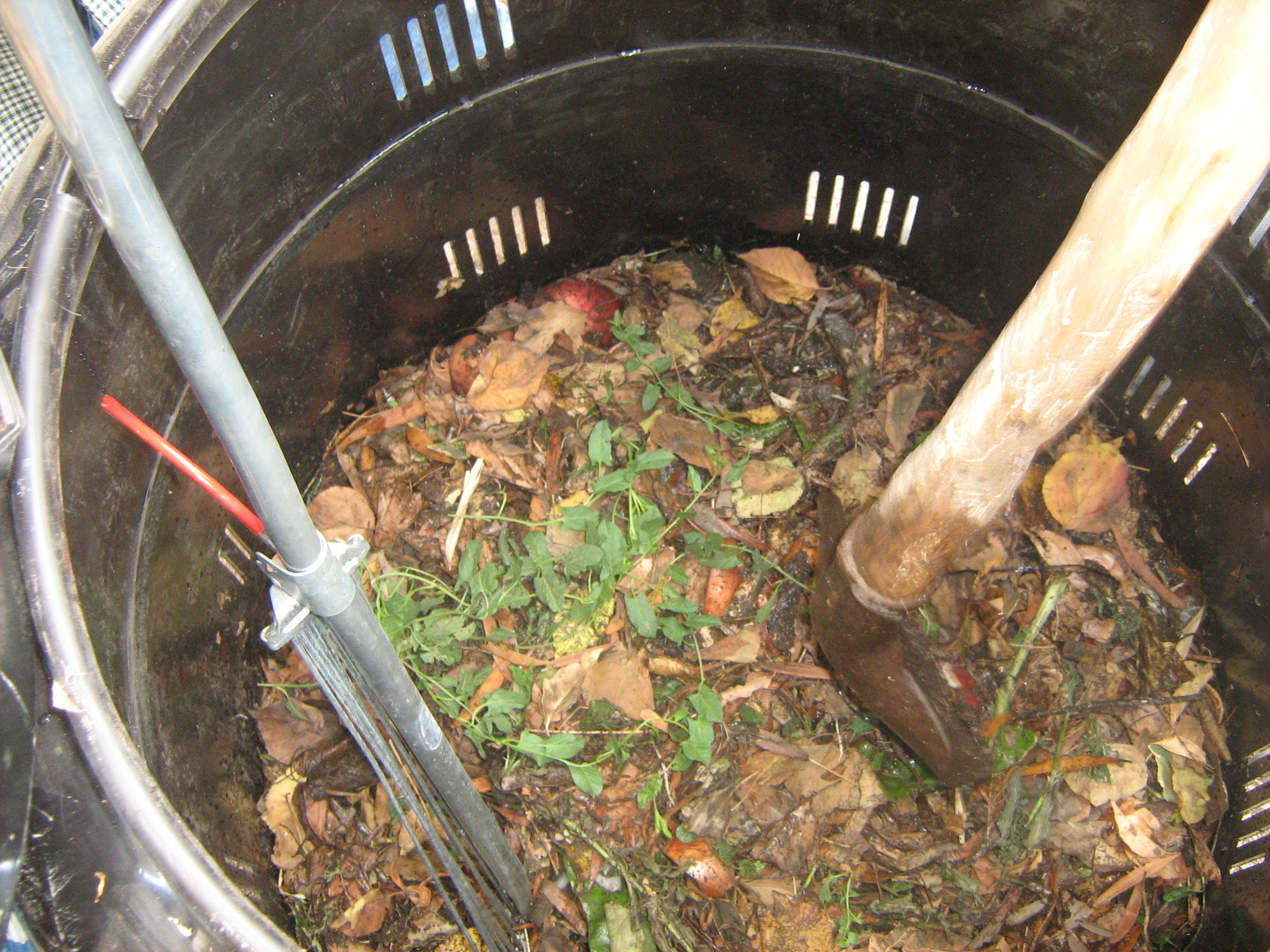 Managing Kitchen Waste Composting At Home TheOrganicLife