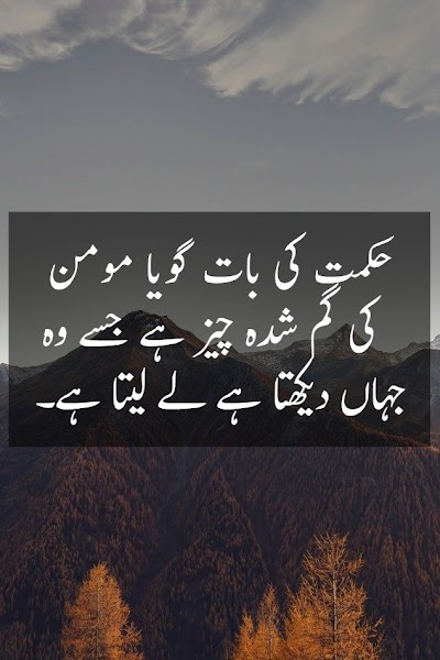 Reality Painful Deep Quotes On Life In Urdu