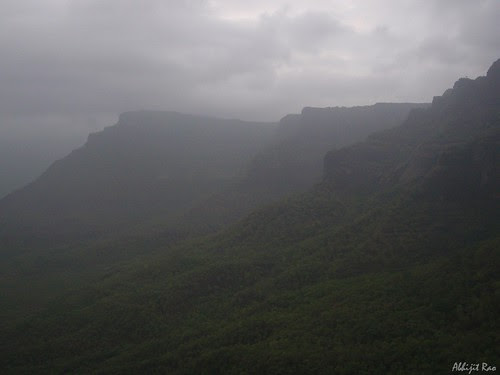 P7050016