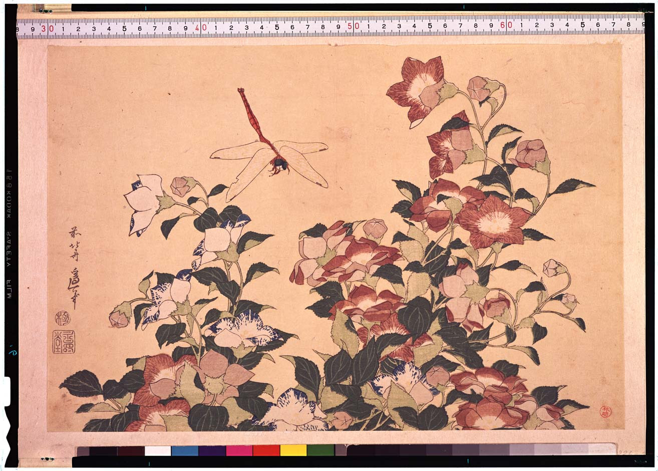 葛飾北斎 東京国立博物館 浮世絵検索