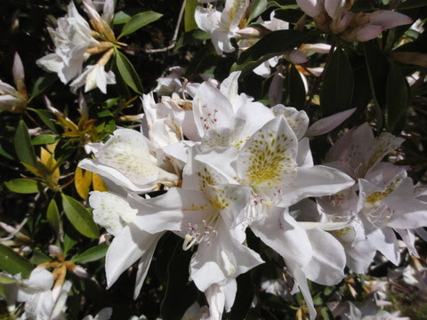 DSC01349