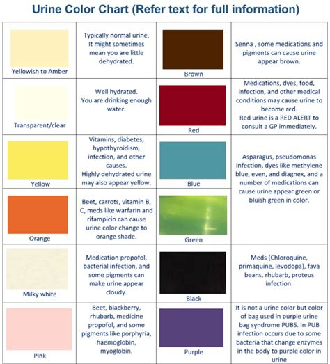  urine color chart and meaning hubpages