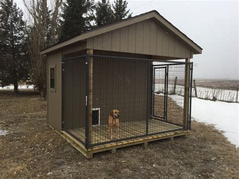 dog kennel quality storage buildings