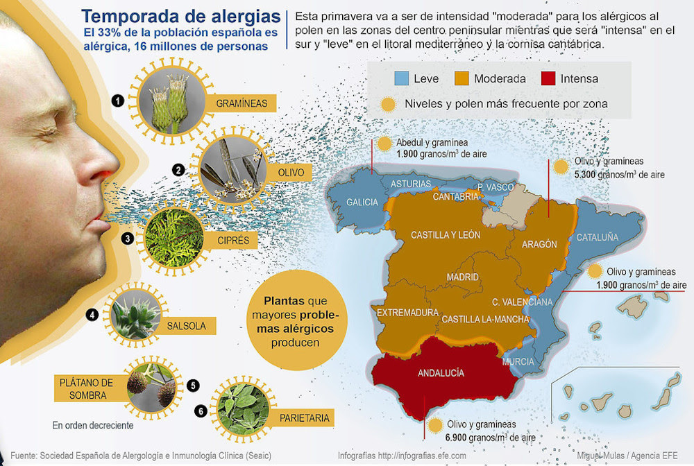 La Primavera Sera Intensa Para Los Alergicos Al Polen En El Sur Peninsular Image990