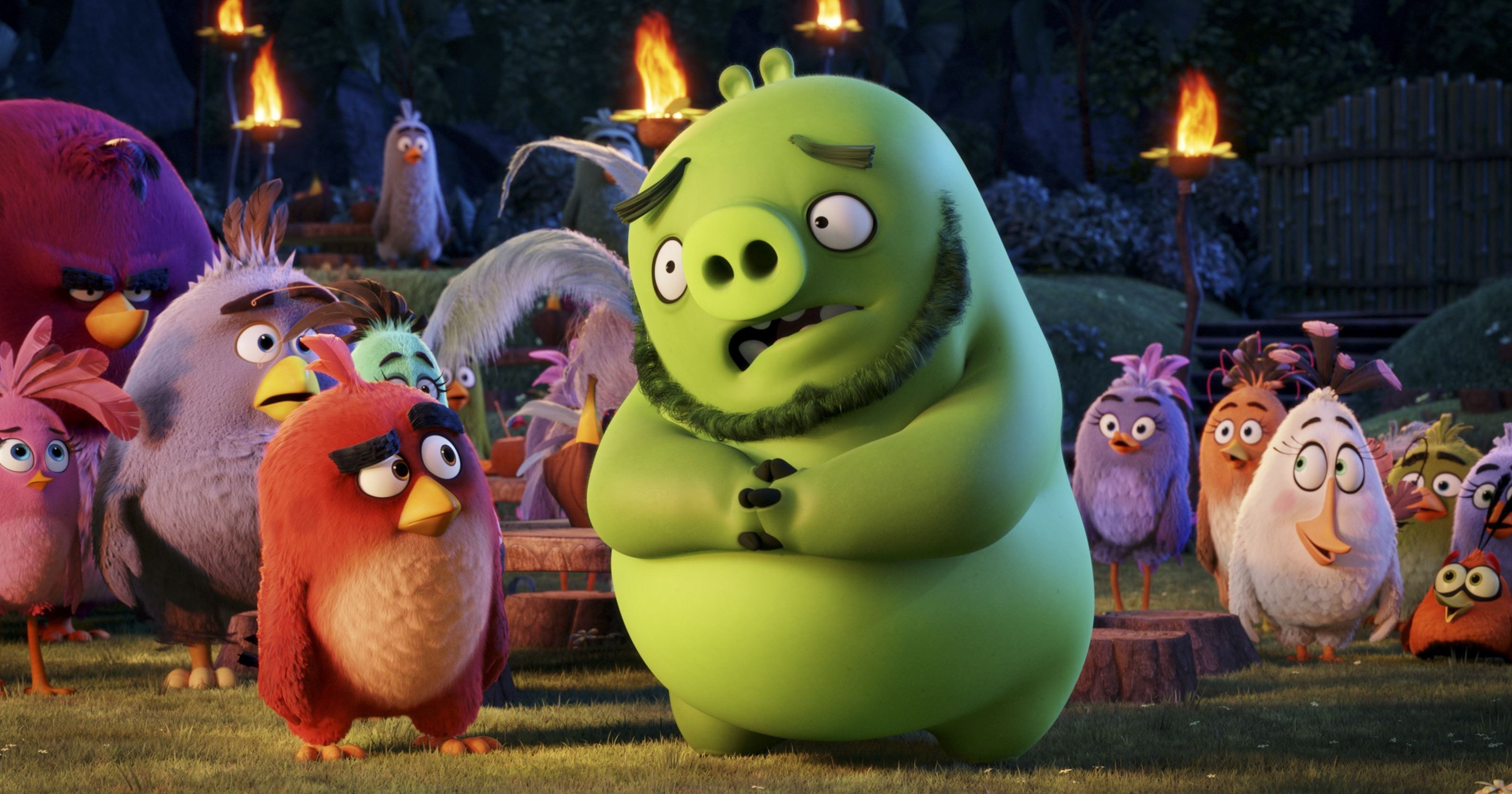Angry Birds Movie 2016 Hd Movies 4k Wallpapers Images