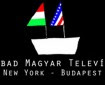 A Szabad Magyar Televízió a filmgyártás elsorvasztásáról
