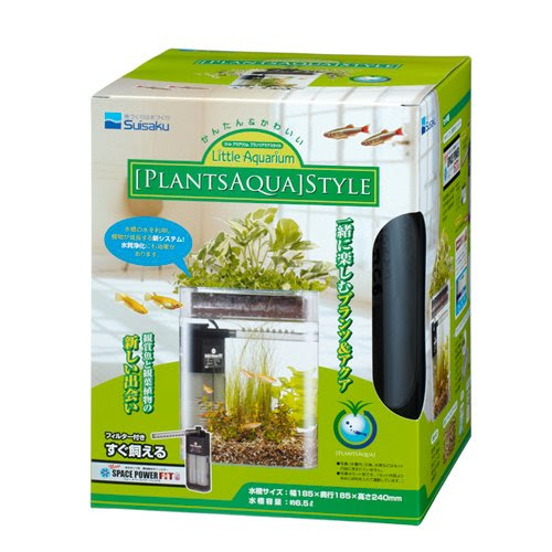 水換え不要の夢の水槽 Ecoqube C を買いました 風雲鷹巣城