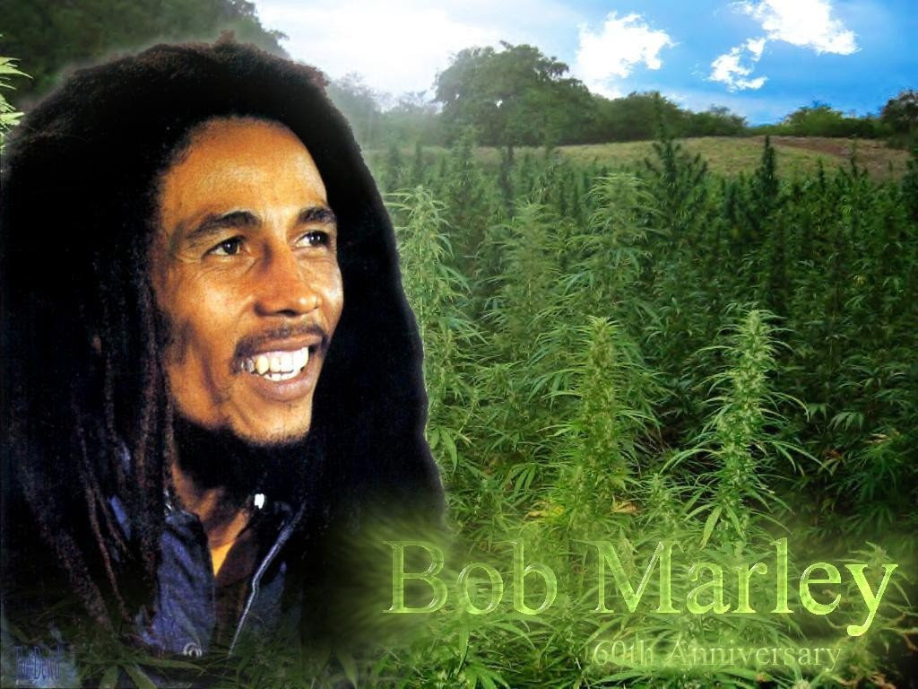 bod marley demeanor