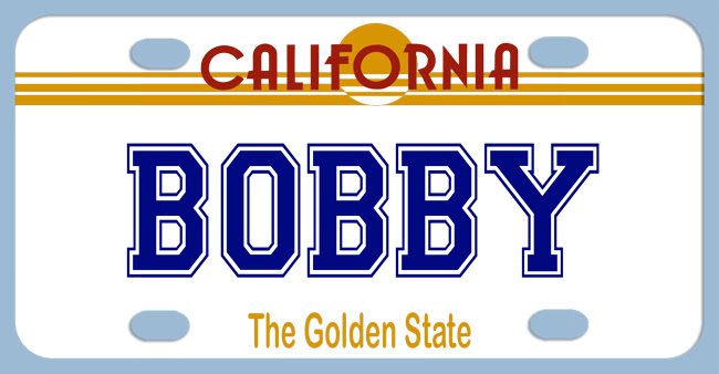 georgia sample plates license I A