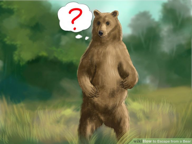 Escape from a Bear Step 7 Version 3.jpg