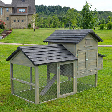 Urban Chicken Large Chicken Chalet - Sam's Club