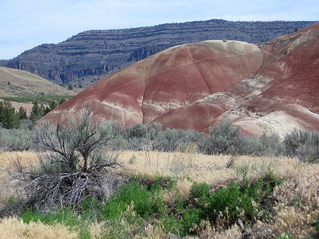 Painted Hills 2