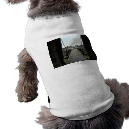 Fort at st augustine looking from castle pet shirt