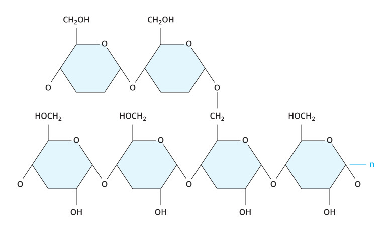 Carbohydrates | Biology | Visionlearning