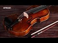 New Hot 44 Electric Acoustic Violin Jujubewood Fiddle with Violin Case
Cover Bow for Musical Stringed Instrument Lovers Beginne